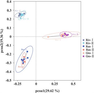 Source water microorganism assessment in three cities in China: A comparative study